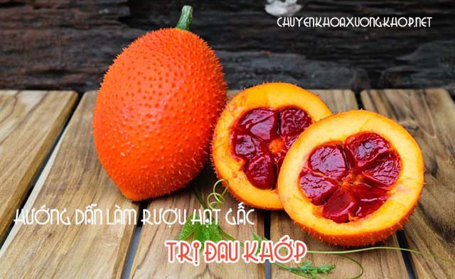 Hướng dẫn cách làm rượu hạt gấc trị đau khớp