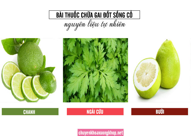 Bài thuốc chữa gai đốt sống cổ từ chanh, bưởi, ngải cứu