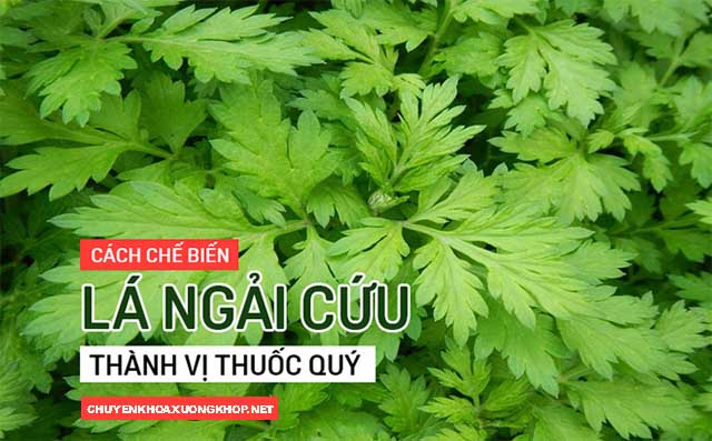 Mẹo tri sưng khớp đầu gối bằng lá ngải cứu và muối