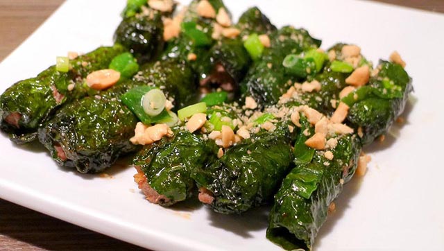 lá lốt chữa bệnh gout lá lốt chữa bệnh gout