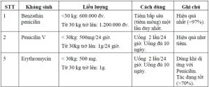 cach-dieu-tri-benh-thap-tim-o-tre-em-3