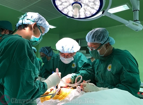 Phẫu thuật thay khớp háng cho bệnh nhân