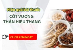 Bài thuốc Cốt Vương thần hiệu thang