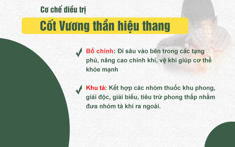 Bài thuốc điều trị với cơ chế bổ chính khu tà