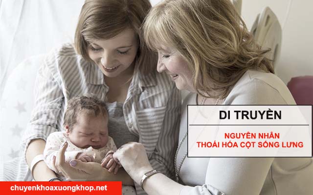 Di truyền nguyên nhân thoái hóa cột sống thắt lưng