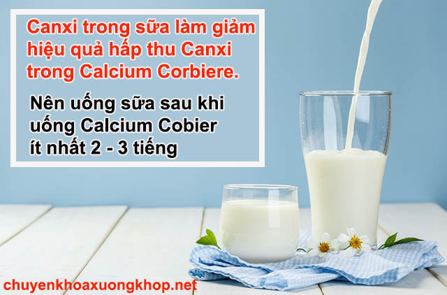 Calcium Corbiere uống chung với sữa có được không? Calcium Corbiere uống chung với sữa có được không?