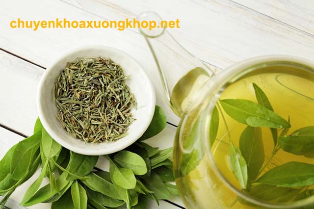 Trà xanh - Thực phẩm nên bổ sung vào chế độ ăn của người bị đau khớp gối Đau khớp gối nên ăn gì? viêm khớp gối nên ăn gì