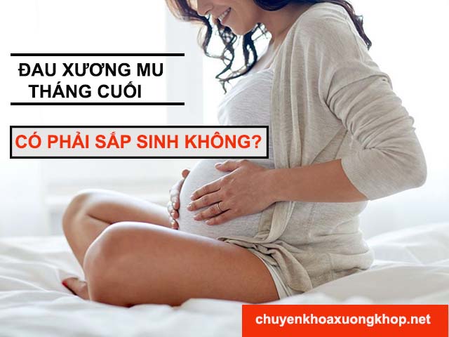 Đau xương mu tháng cuối ó phải sắp sinh hay không? đau xương mu có phải sắp sinh