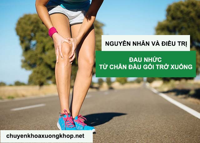 Nguyên nhân và cách điều trị đau nhức chân từ đầu gối trở xuống