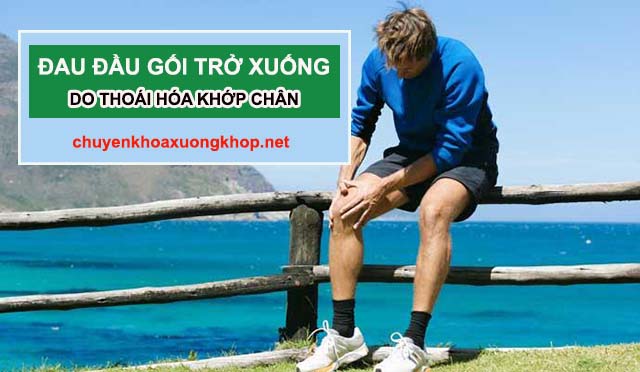 Thoái hóa khớp gối gây đau nhức chân từ đầu gối trở xuống - chữa nhức mỏi chân