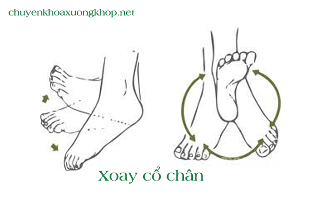 Xoay cổ chân - Bài tập vật lý trị liệu khớp háng sau phẫu thuật