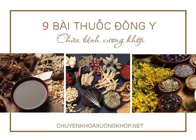 Thuốc Đông Y chữa bệnh xương khớp - đông y xương khớp