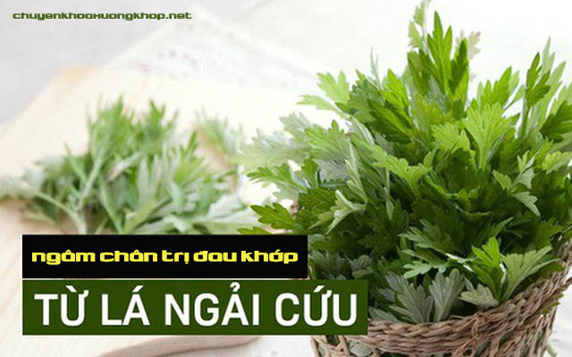 Bài thuốc ngâm chân trị đau khớp bằng ngải cứu