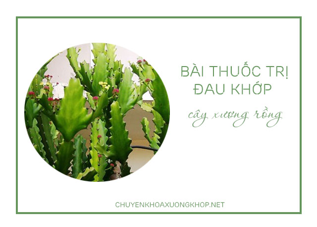 Trị đau khớp bằng bài thuốc dân gian