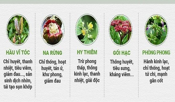 Hoạt huyết Phục cốt hoàn kết hợp nhiều vị thuốc chữa xương khớp quý