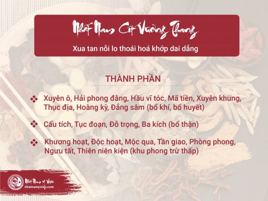 Nhất Nam Cốt Vương Thang – Bài thuốc chữa bệnh thoái hoá khớp hiệu quả