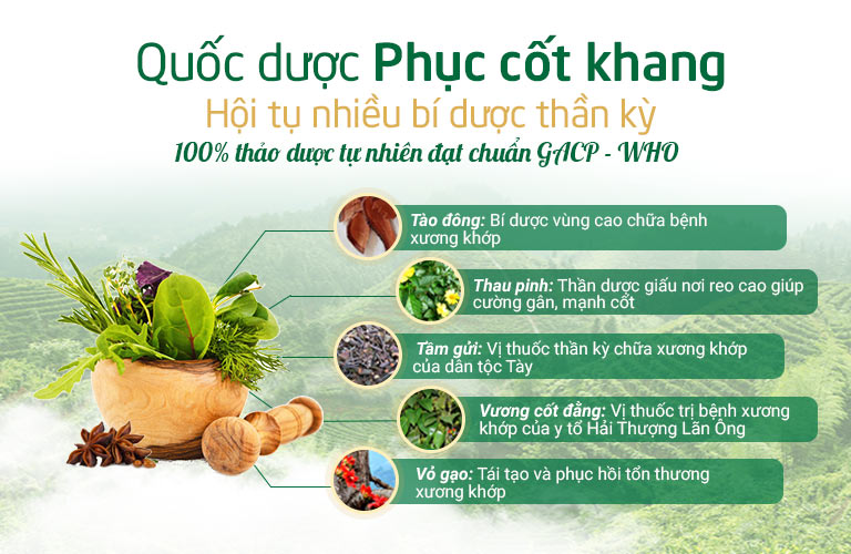 Quốc dược Phục cốt khang hòa quyện nhiều bí dược thần kỳ